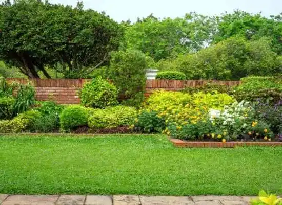 landscaping services Orchard Grass Hills